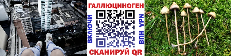 Псилоцибиновые грибы Cubensis  где найти   МЕГА онион  Остров 